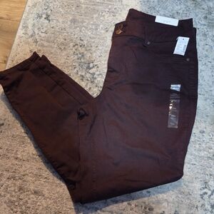 Maurices Dark Red Jeggings (18W)